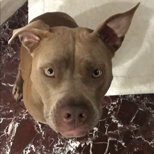 Meet your Posher, Teri l.